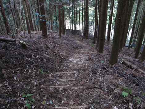 20160121hike (382)